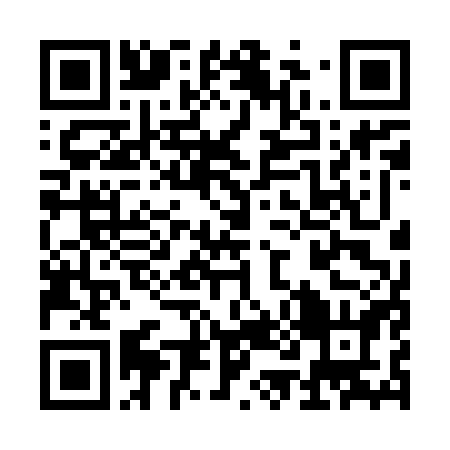 UPI QR Code